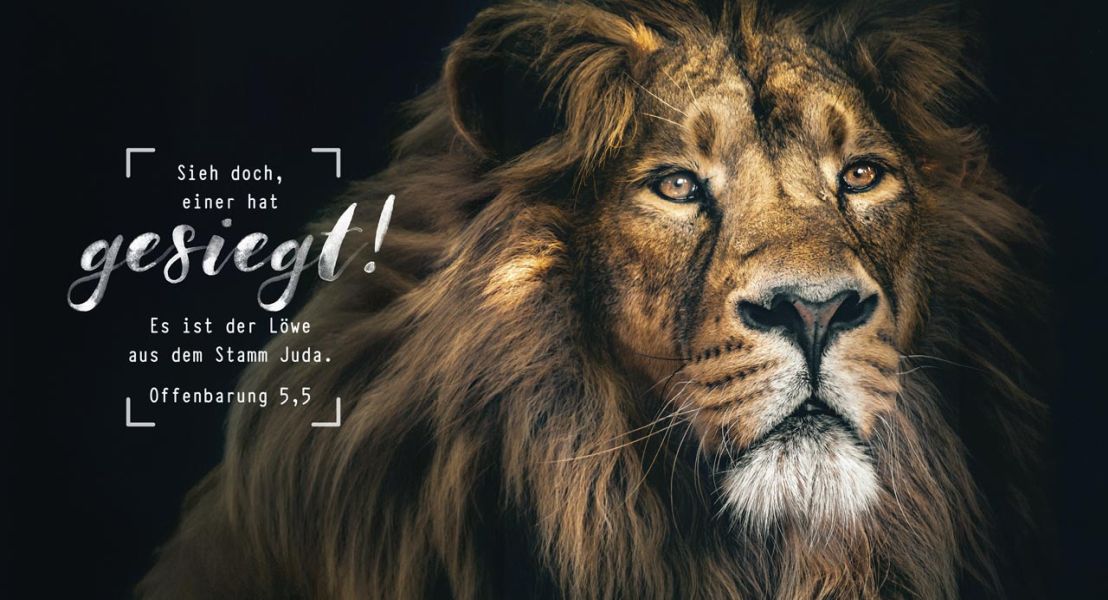 Metallschild "Löwe"