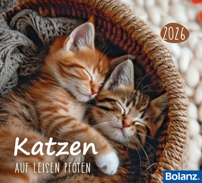 Katzen 2026 - Minikalender