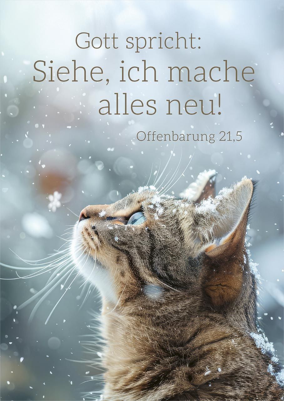 Jahreslosung 2026 - Postkarten "Katze" 12 Stück