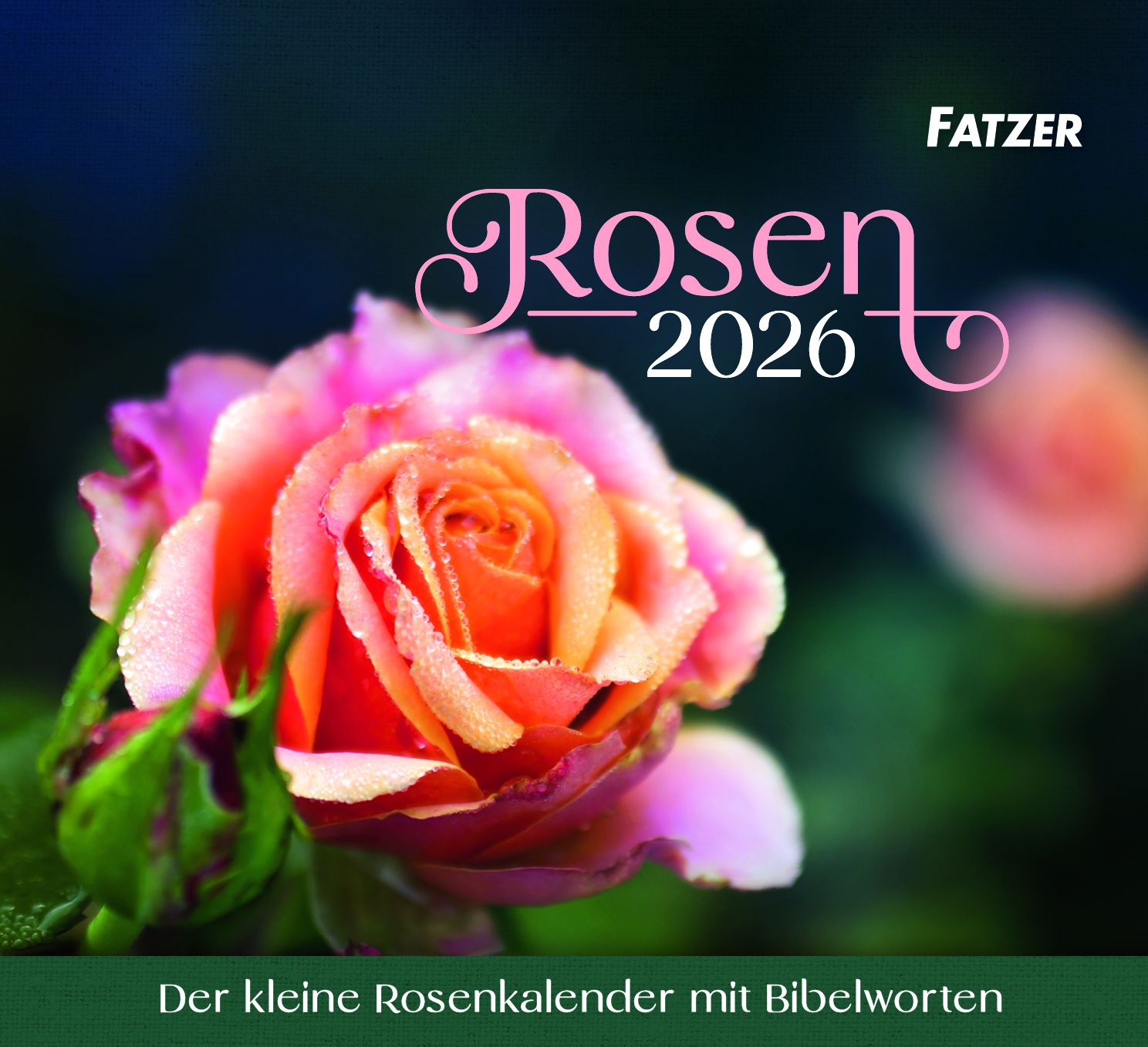 Rosen 2026 - Tischkalender