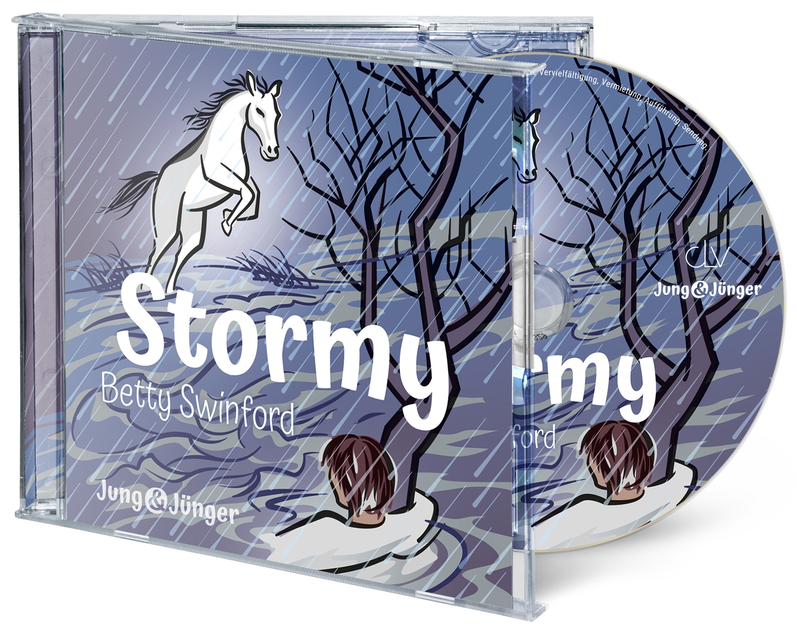 Stormy - Hörbuch