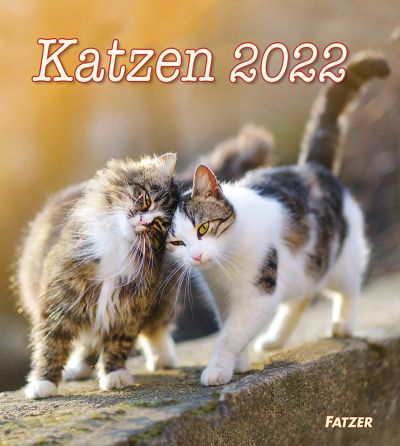 Katzen 2022 - Wandkalender