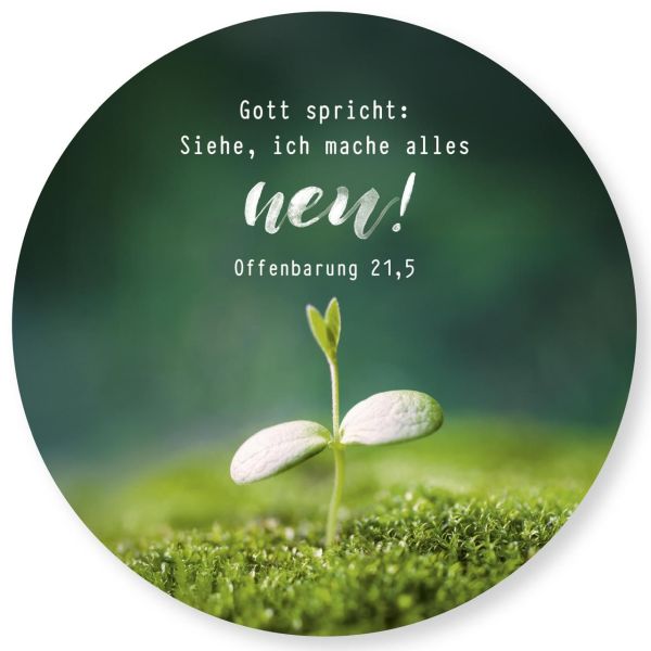 Jahreslosung 2026 - Wandschmuckbild "Pflanze" 25cm
