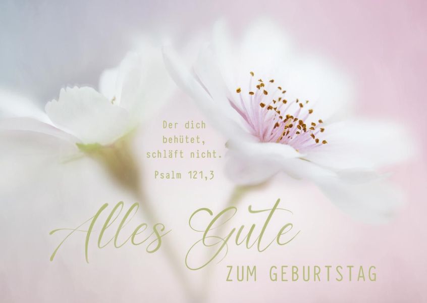 Postkarten "Alles Gute zum Geburtstag" - Blüte 12 Stück
