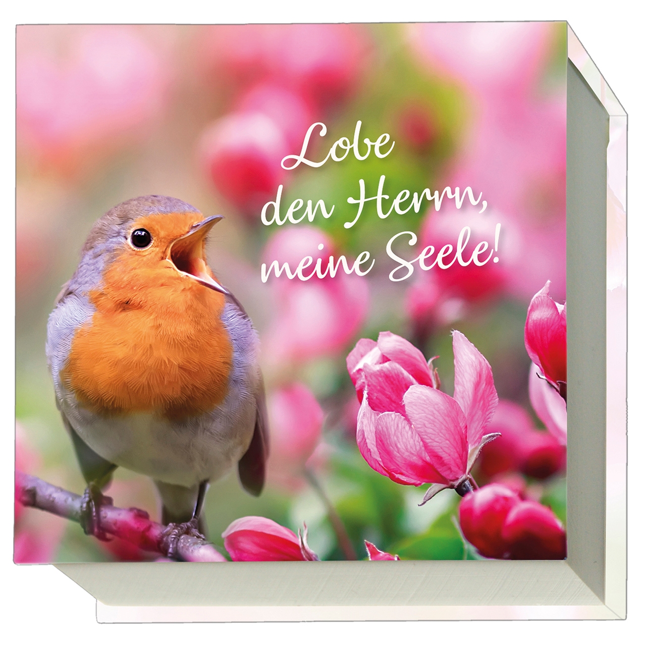 Notizblock: Lobe den Herrn, meine Seele!