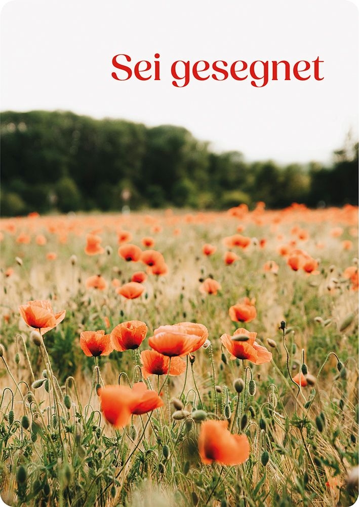 Postkarte - Sei gesegnet