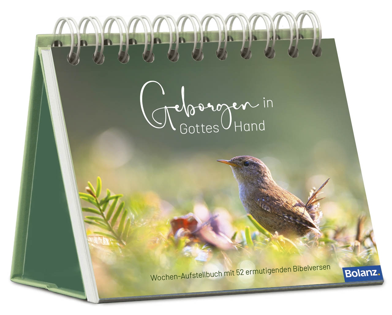 Geborgen in Gottes Hand - Aufstellbuch