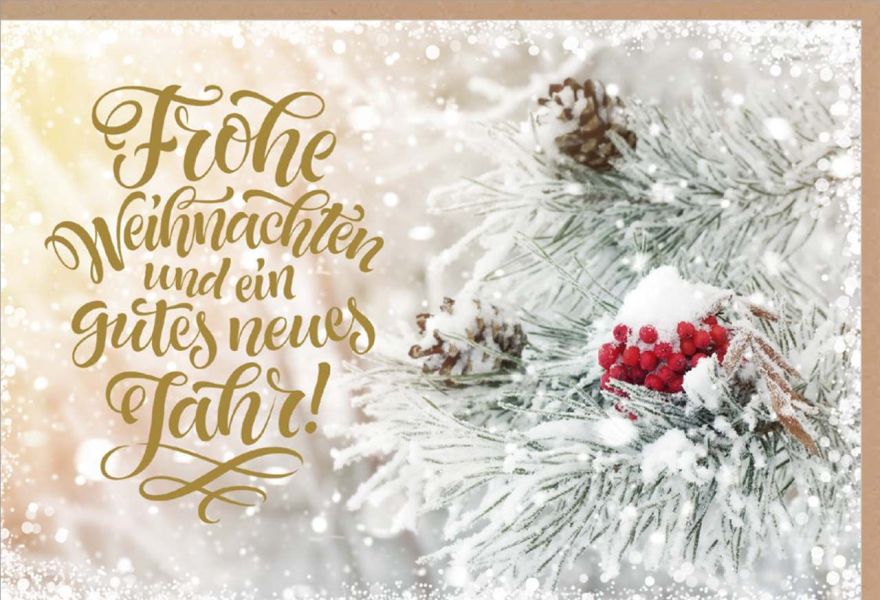 Faltkarte "Frohe Weihnachten"/Schneebedeckter Zweig mit Beeren