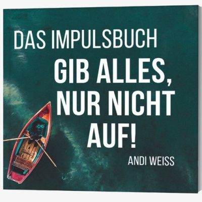 Gib alles, nur nicht auf! - Das Impulsbuch