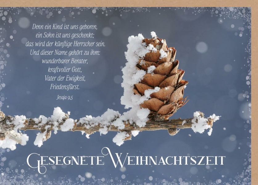 Faltkarte "Gesegnete Weihnachtszeit" - Tannenzapfen